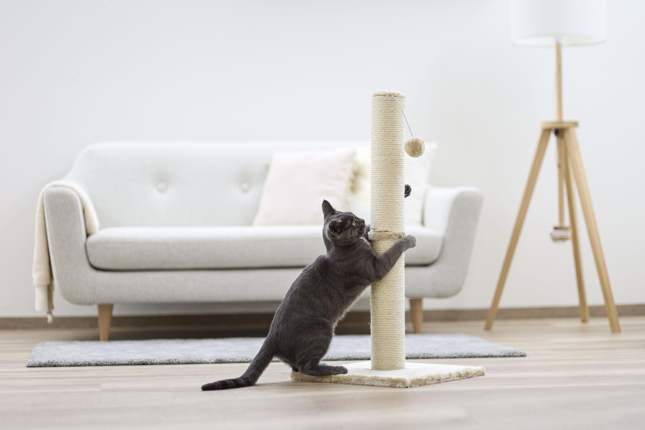 kerbl-opal-maxi-arbre-chat-beige-sisal-naturel-38-x-38-x-78-cm image 2