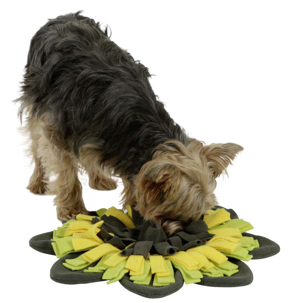kerbl-pet-tapis-renifler-sunflower-jaune-vert-40-cm image 5