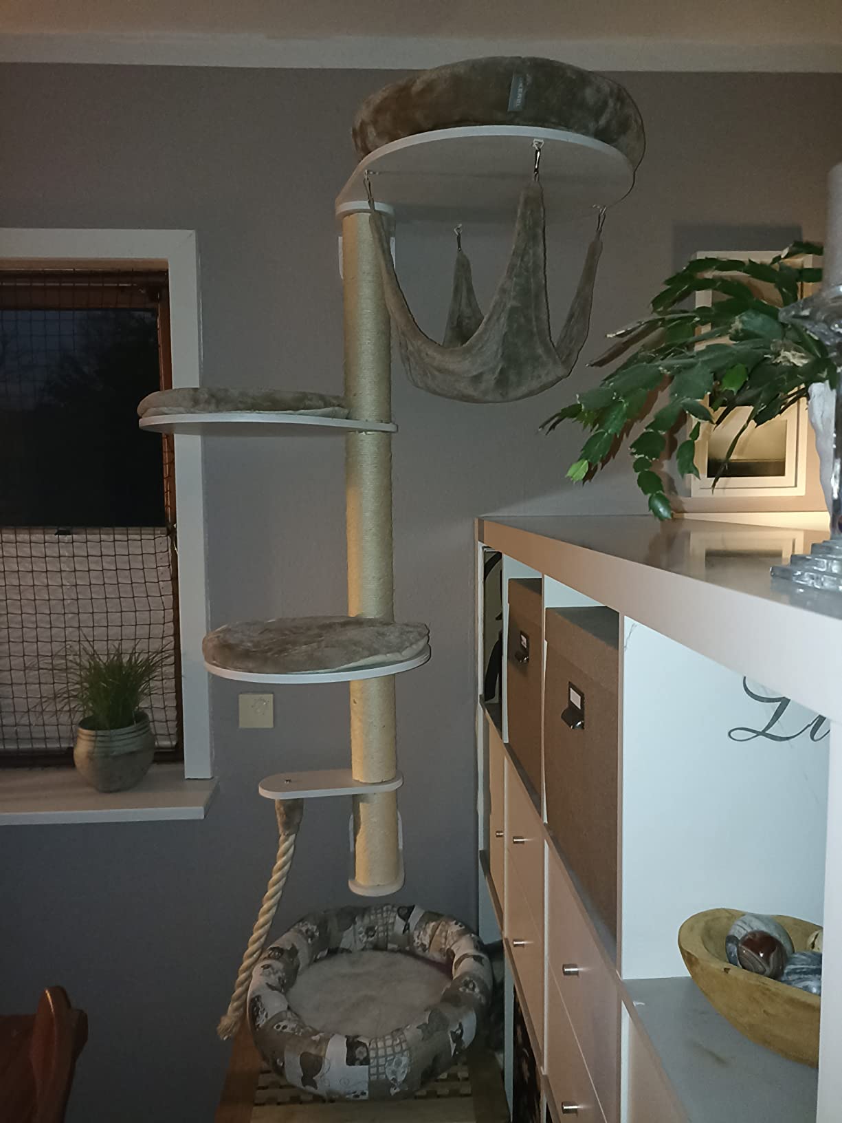Mon vieux chat revit