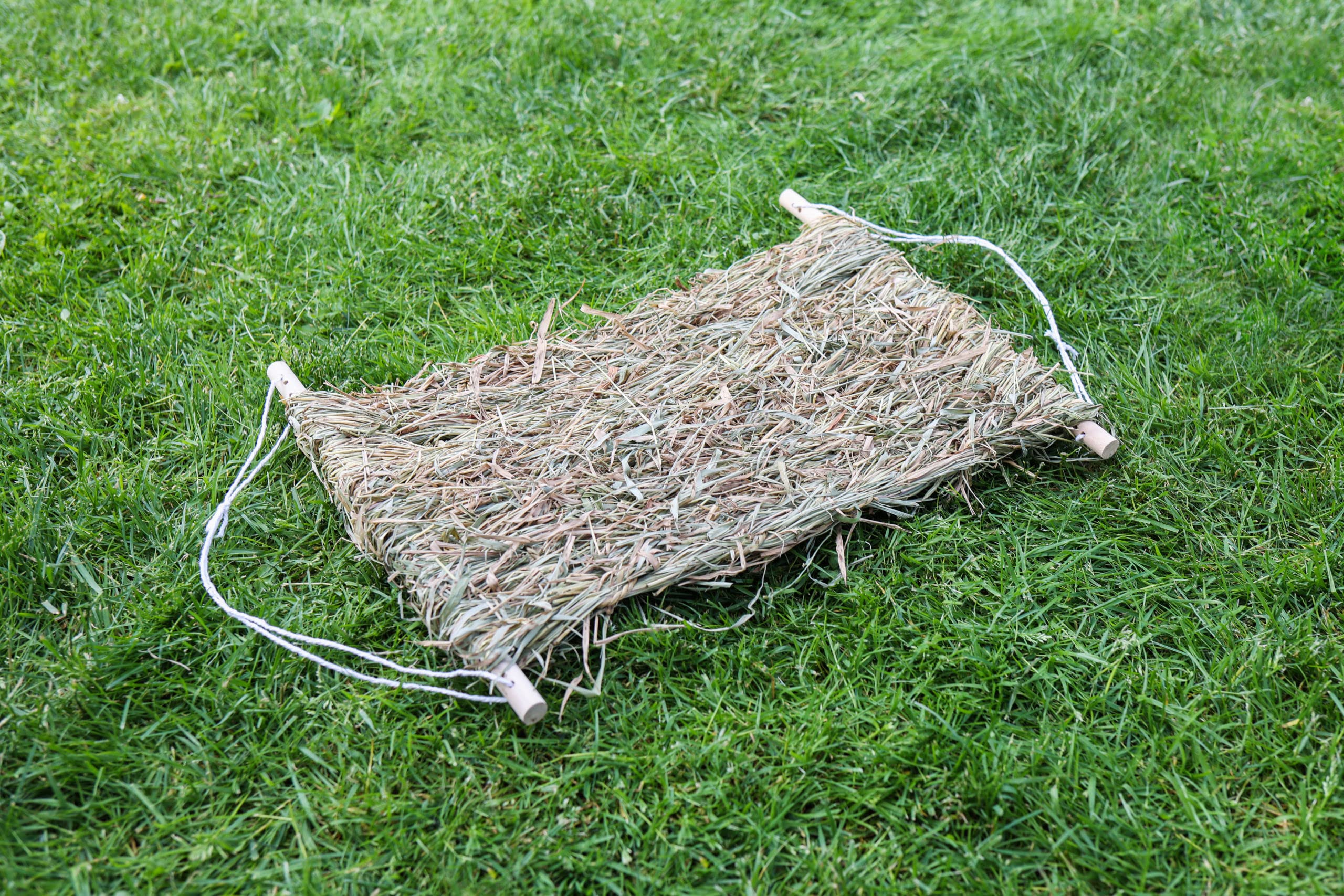 kerbl-pet-tapis-d-herbe-de-rechange-siesta-46-x-36-x-3-5-cm-en-foin image 2