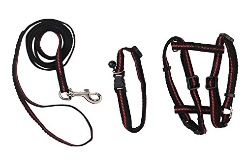 kerbl-pet-kit-pour-chat-harnais-laisse-120cm-collier-en-nylon image 4