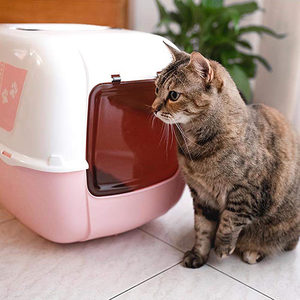 ferplast-prima-decor-maison-de-toilette-pour-chat-rose-39-5-x-52-5-x-38-cm-avec- image 2