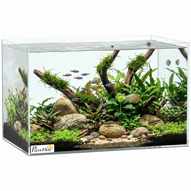 pawhut-aquarium-verre-24-l-40-x-25-x-25-cm-pour-crevettes-et-tortues-transparent image 1