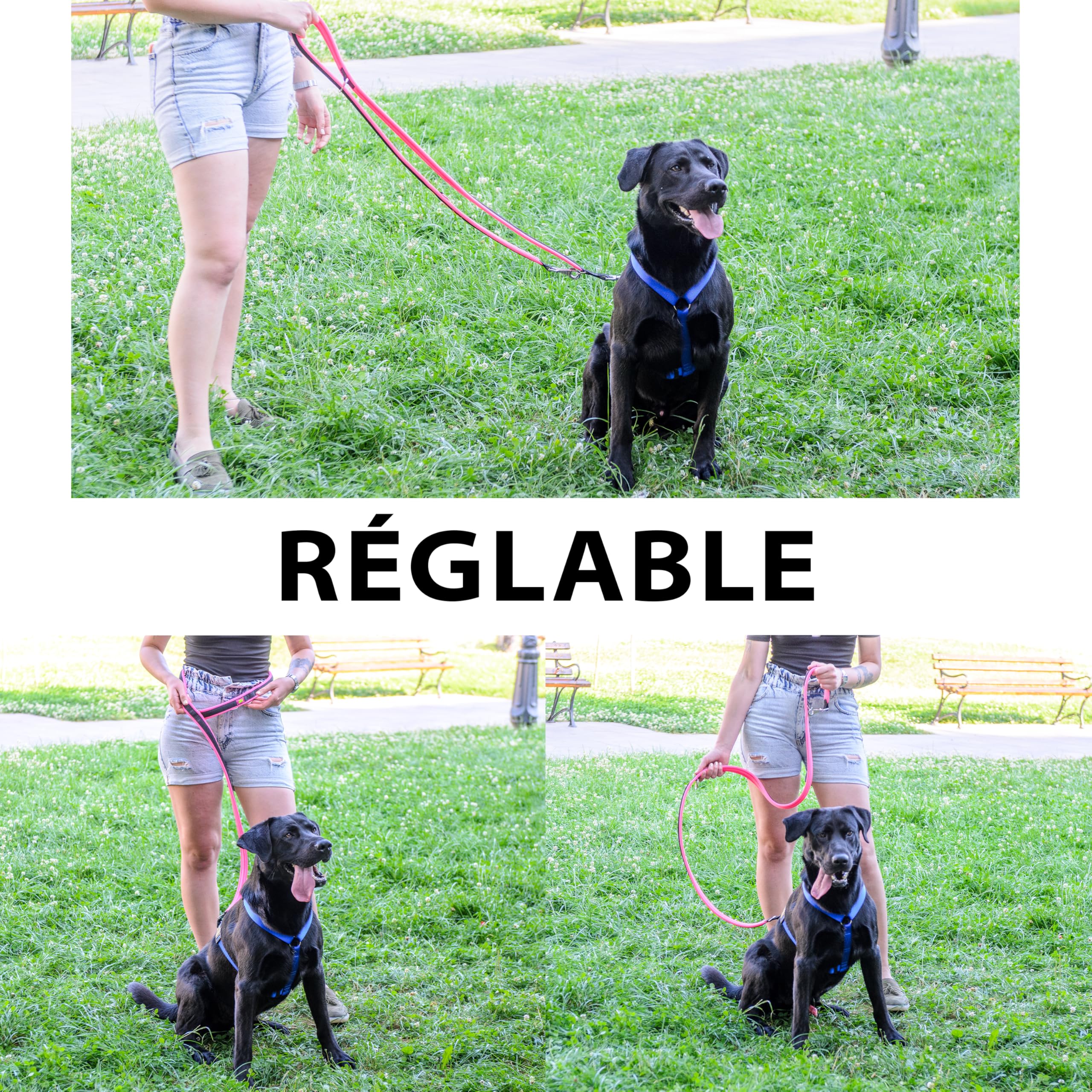ferplast-ergofluo-laisse-de-dressage-chien-grande-taille-200-cm-rose image 5