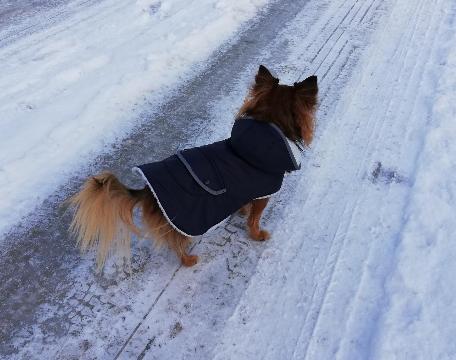 Bien chaud pour l'hiver