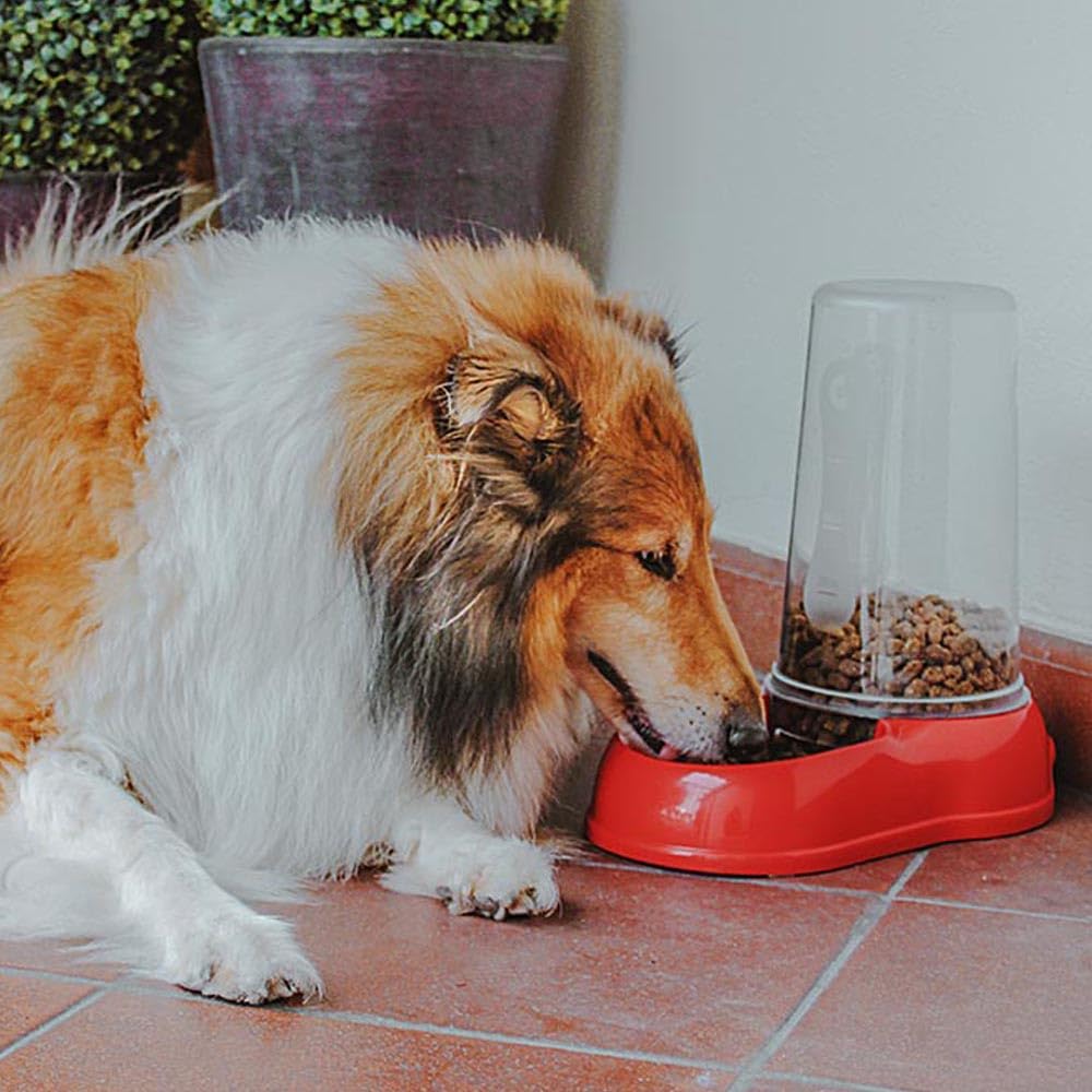 ferplast-azimut-3000-distributeur-croquettes-et-eau-pour-chien-et-chat-3-litres- image 4