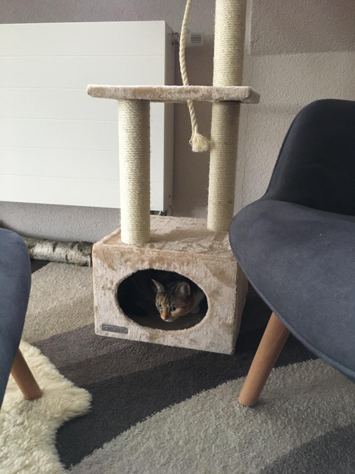 Bien mais à fixer au mur