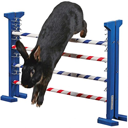 kerbl-2208368-obstacle-d-agility-53-cm-r-glable image 4