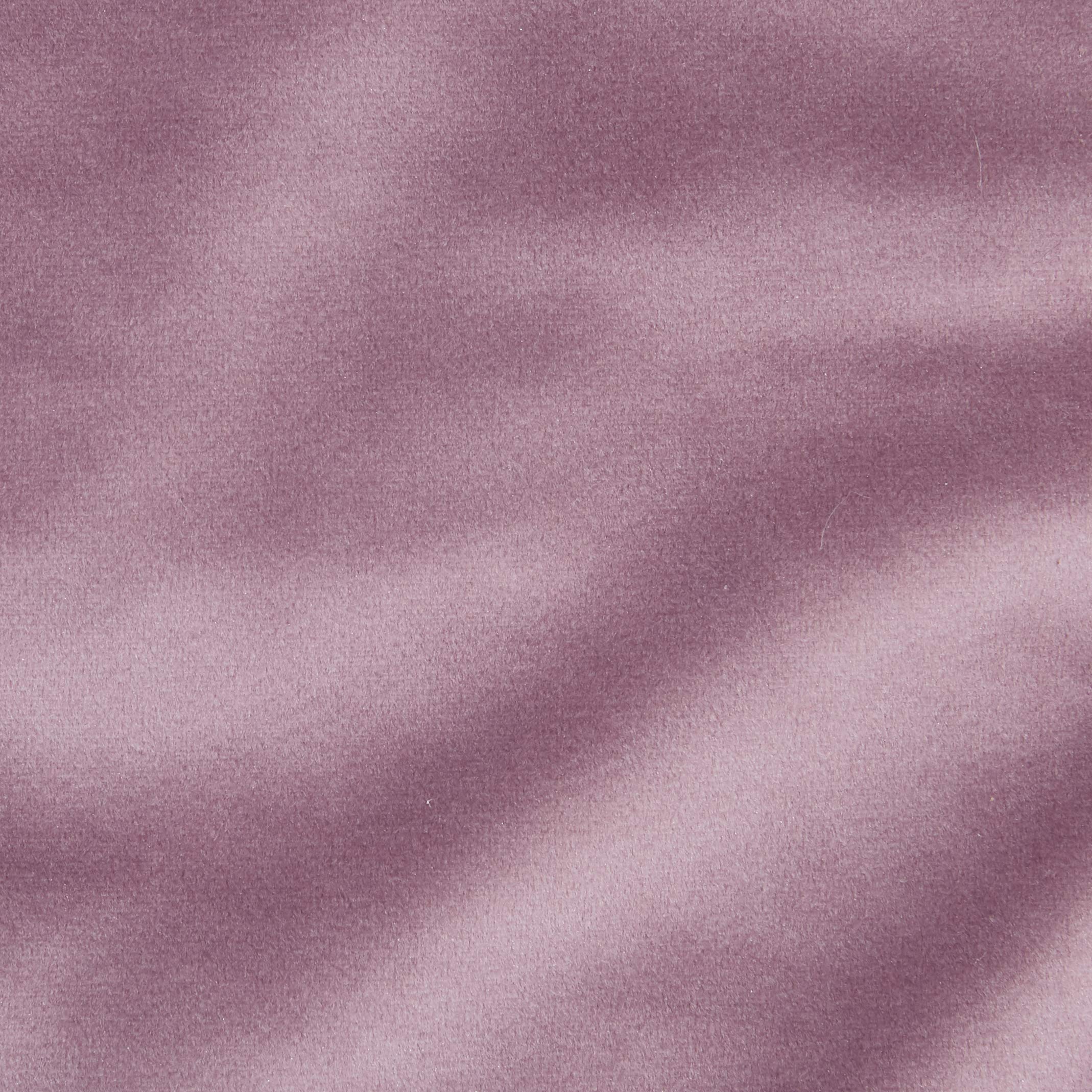 ferplast-baron-110-coussin-pour-chien-et-chat-violet-gris image 4