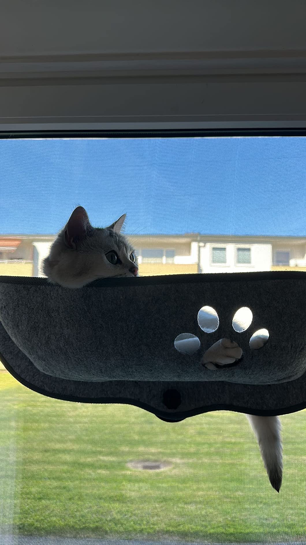 Le spot préféré de Nala
