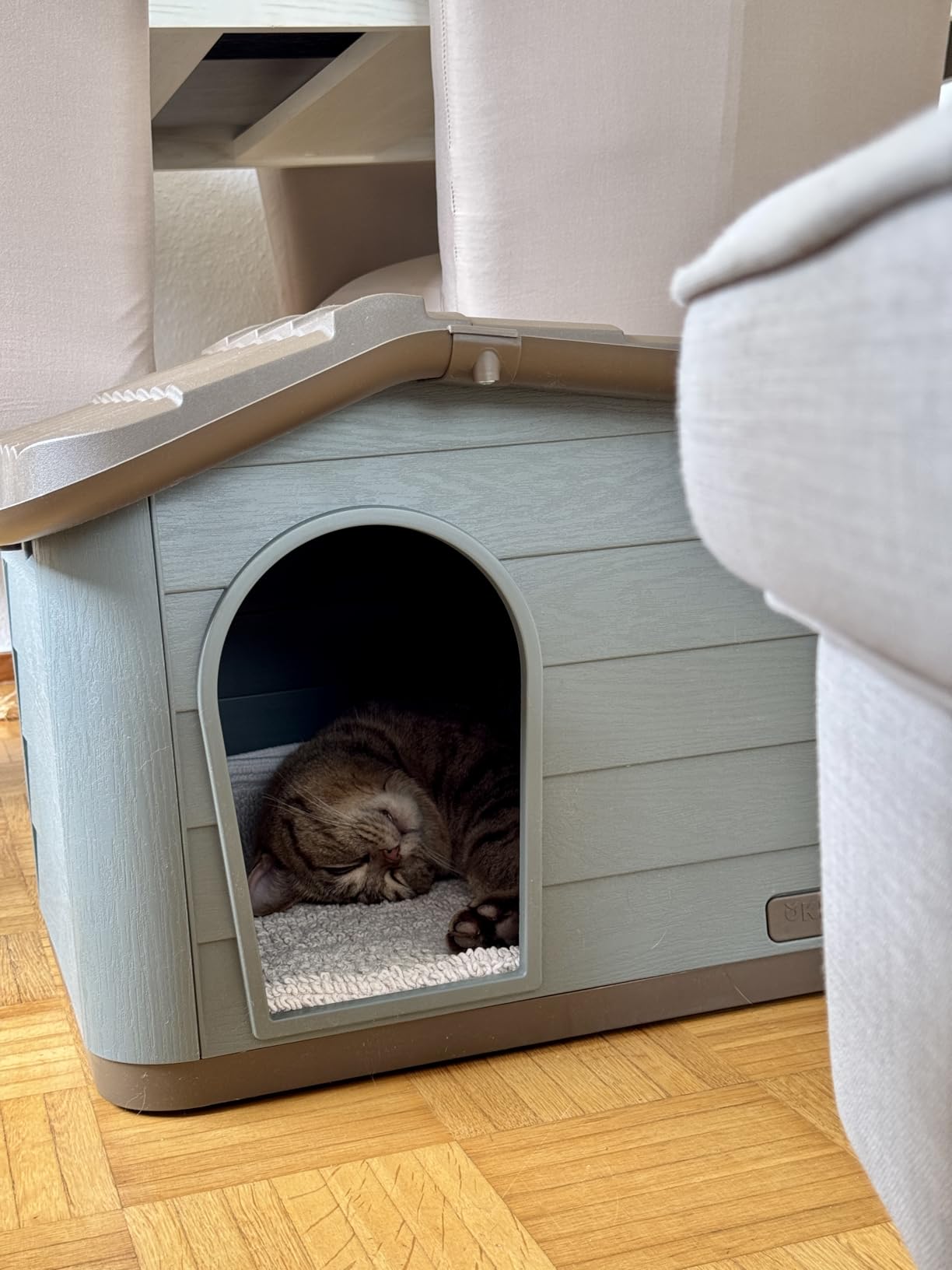 Adoptée dès le premier soir