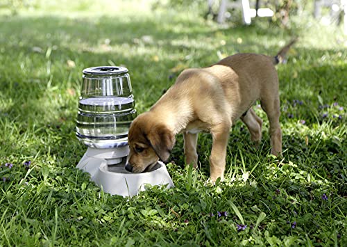 kerbl-distributeur-d-eau-nuvola-3-8-l-taupe-pour-chien-et-chat image 7