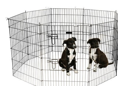 kerbl-pet-enclos-chiots-et-petits-animaux-57x78-cm-8-grilles-avec-porte image 3