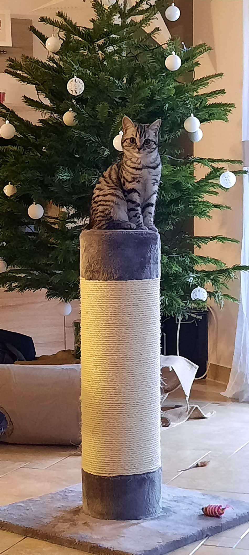 Trop léger à mon goût