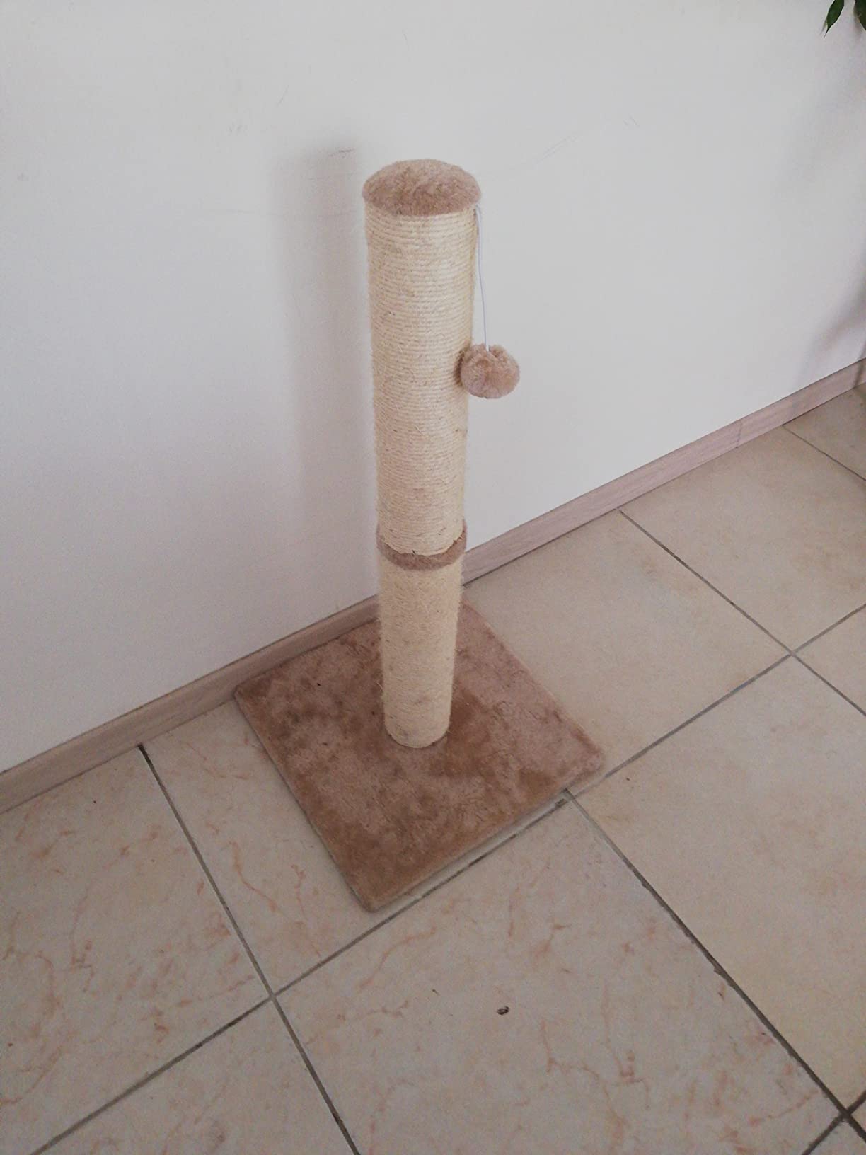 Mignon et pratique