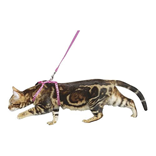 kerbl-ensemble-harnais-laisse-pour-chat-rose-120-cm image 6