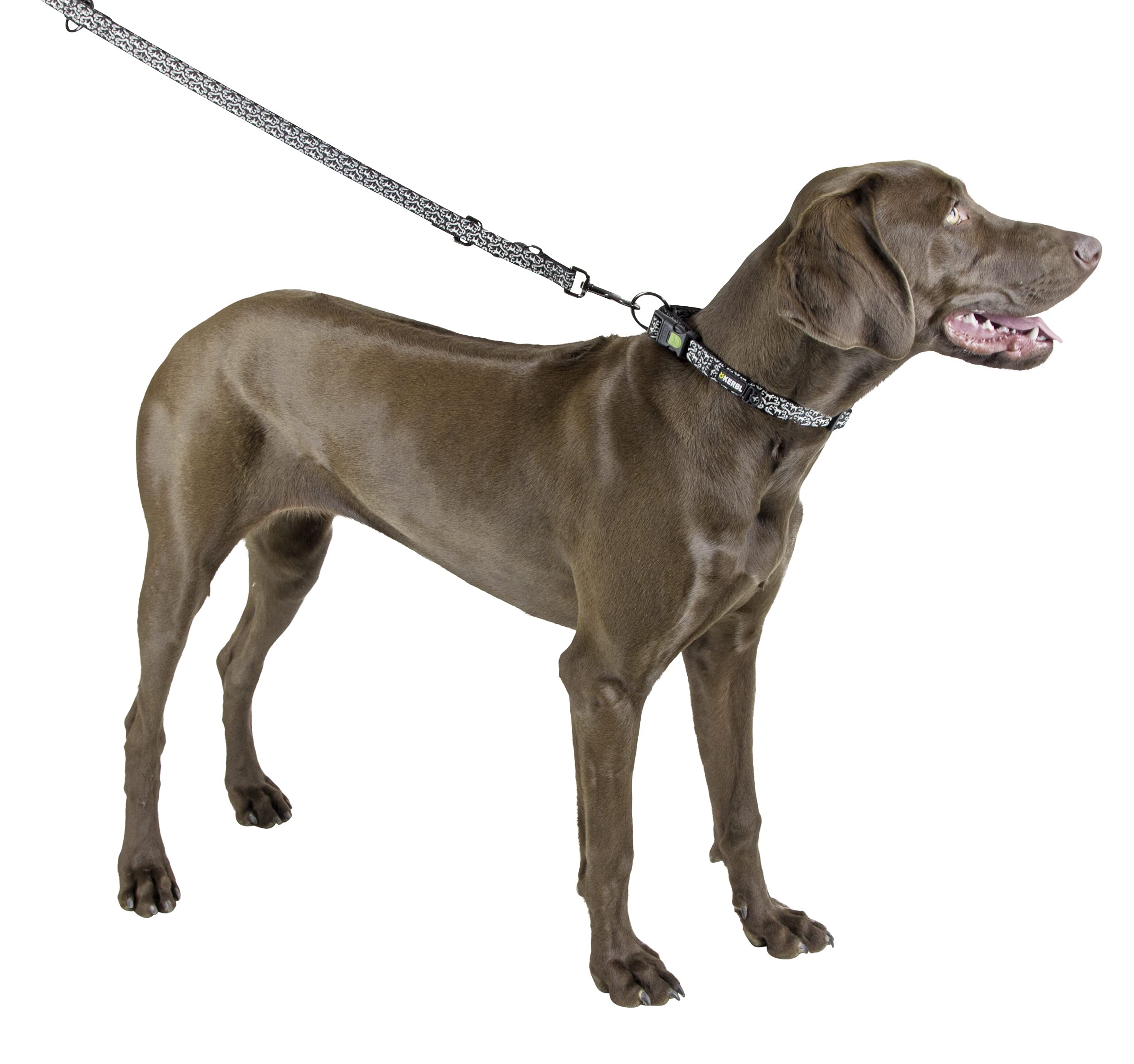 kerbl-shiny-night-collier-pour-chien-25-40-cm-phosphorescent image 2