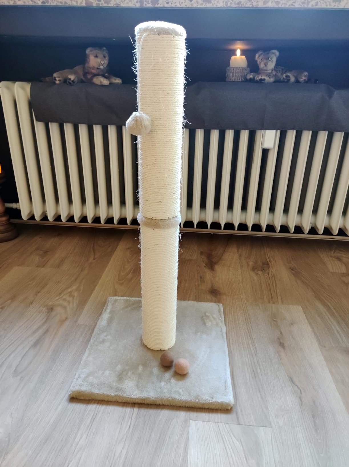 Mon chat ne quitte plus son poteau
