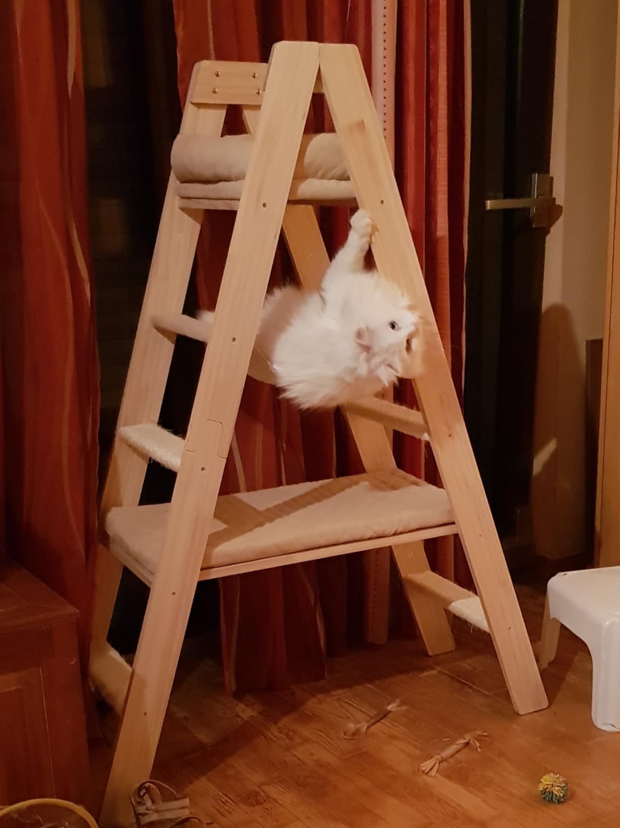 Mes deux chats l'adorent