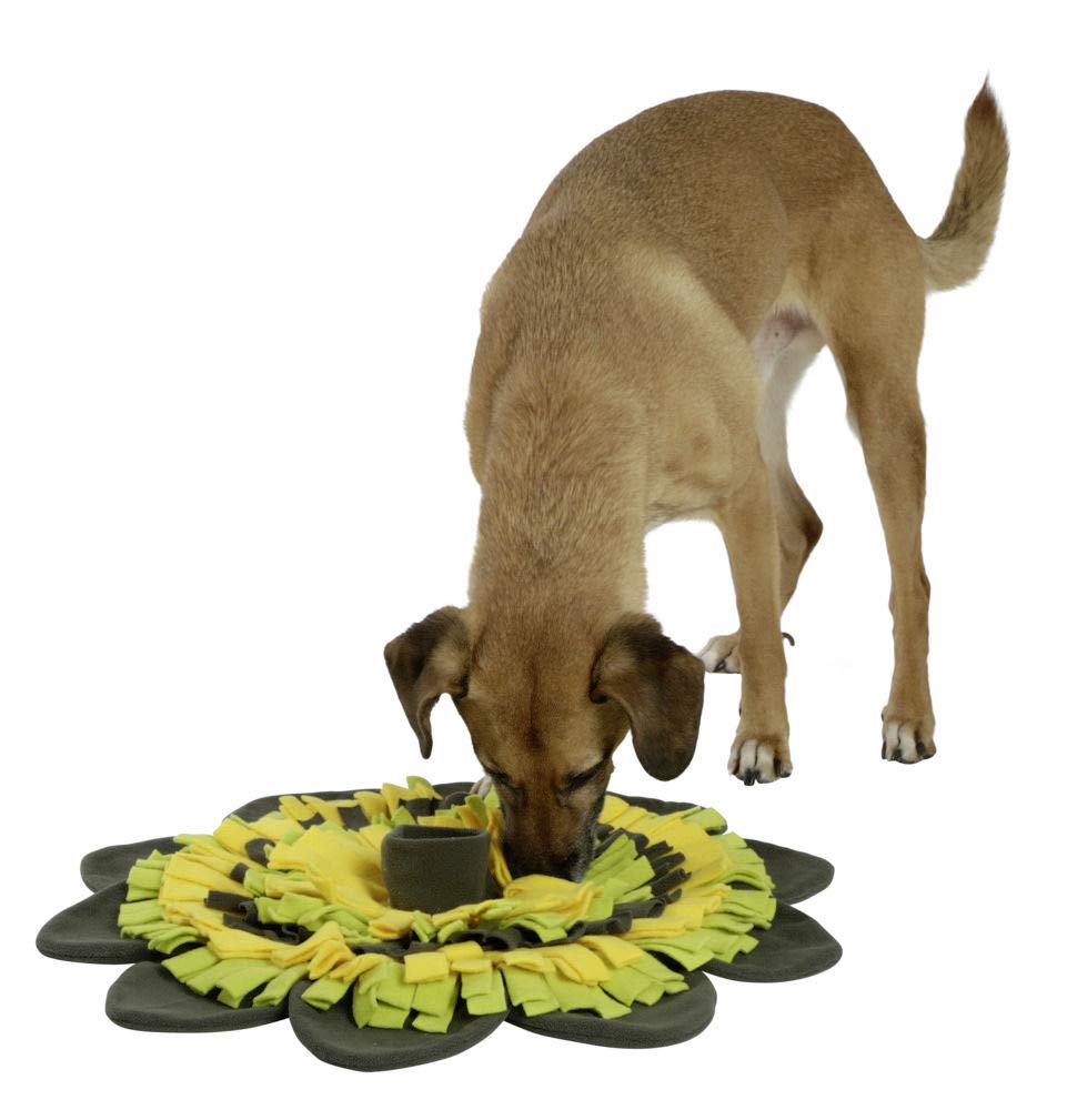 kerbl-pet-tapis-renifler-sunflower-jaune-vert-40-cm image 3