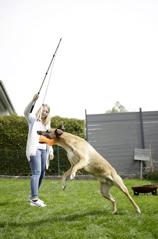kerbl-canne-p-che-alu-t-lescopique-pour-chien-47-130-cm-noir image 3