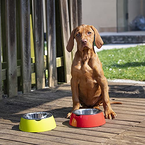 ferplast-jolie-gamelle-chien-et-chat-inox-avec-support-plastique-vert-moyen-0-9- image 8