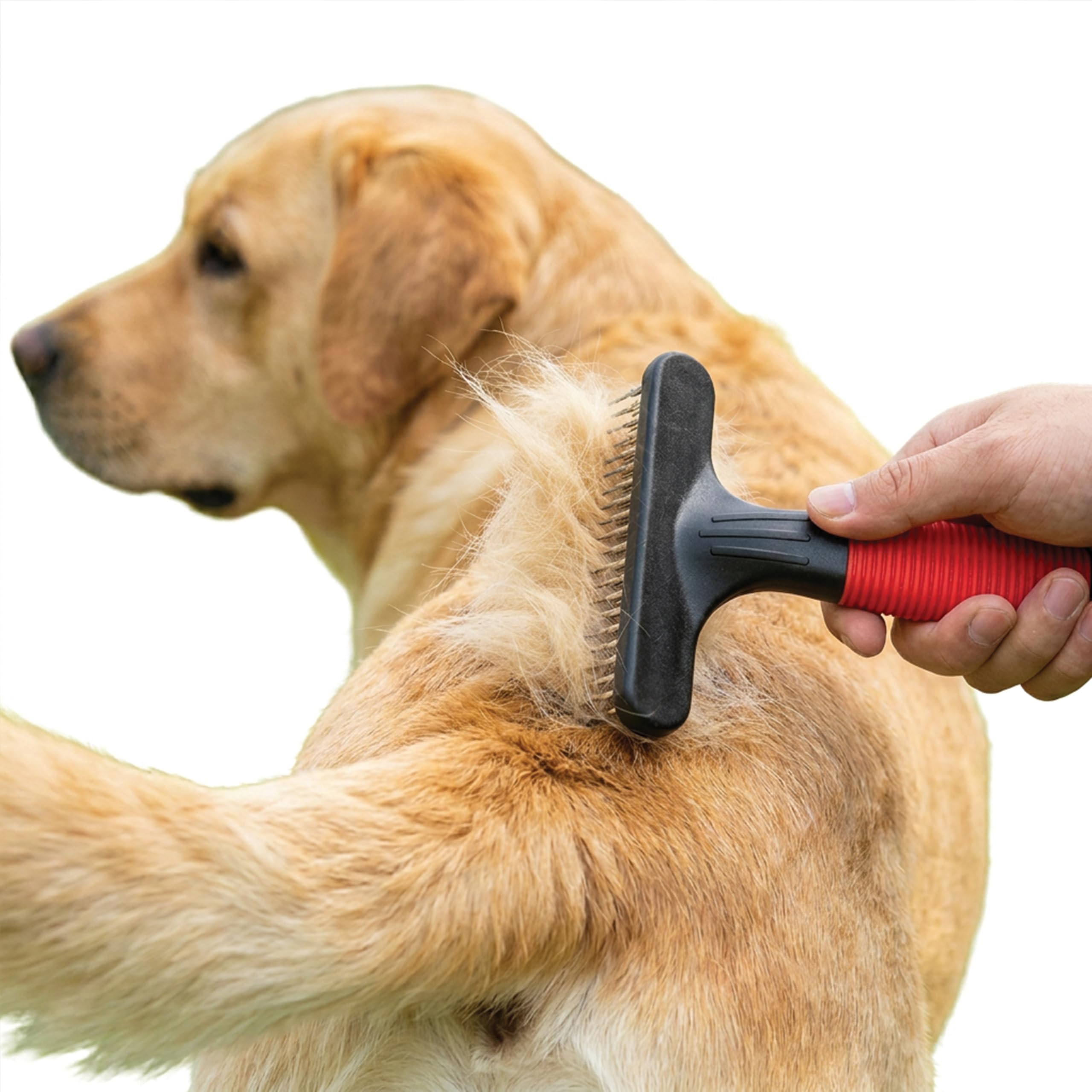 ferplast-gro-5874-peigne-r-teau-double-rang-e-pour-chiens-et-chats-poils-moyens- image 7