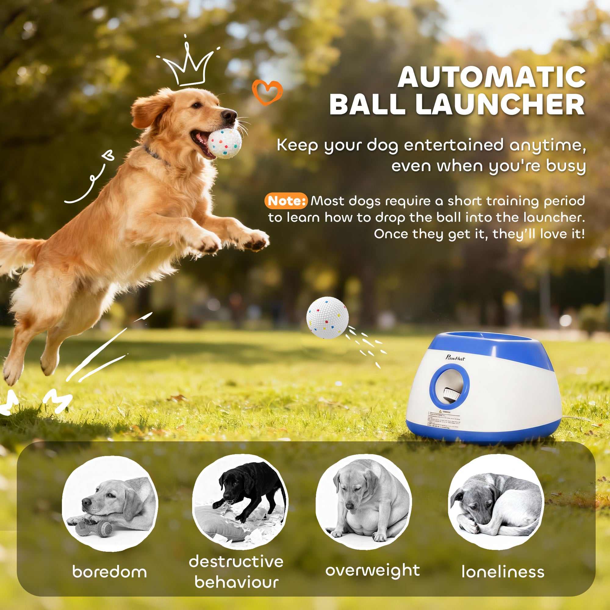 pawhut-lanceur-de-balles-automatique-pour-chien-avec-t-l-commande-3-distances-26 image 6