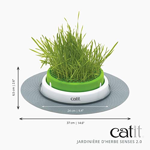 catit-senses-2-0-jardin-d-herbe-pour-chat-jardini-re-basse-stable-avec-drainage image 4