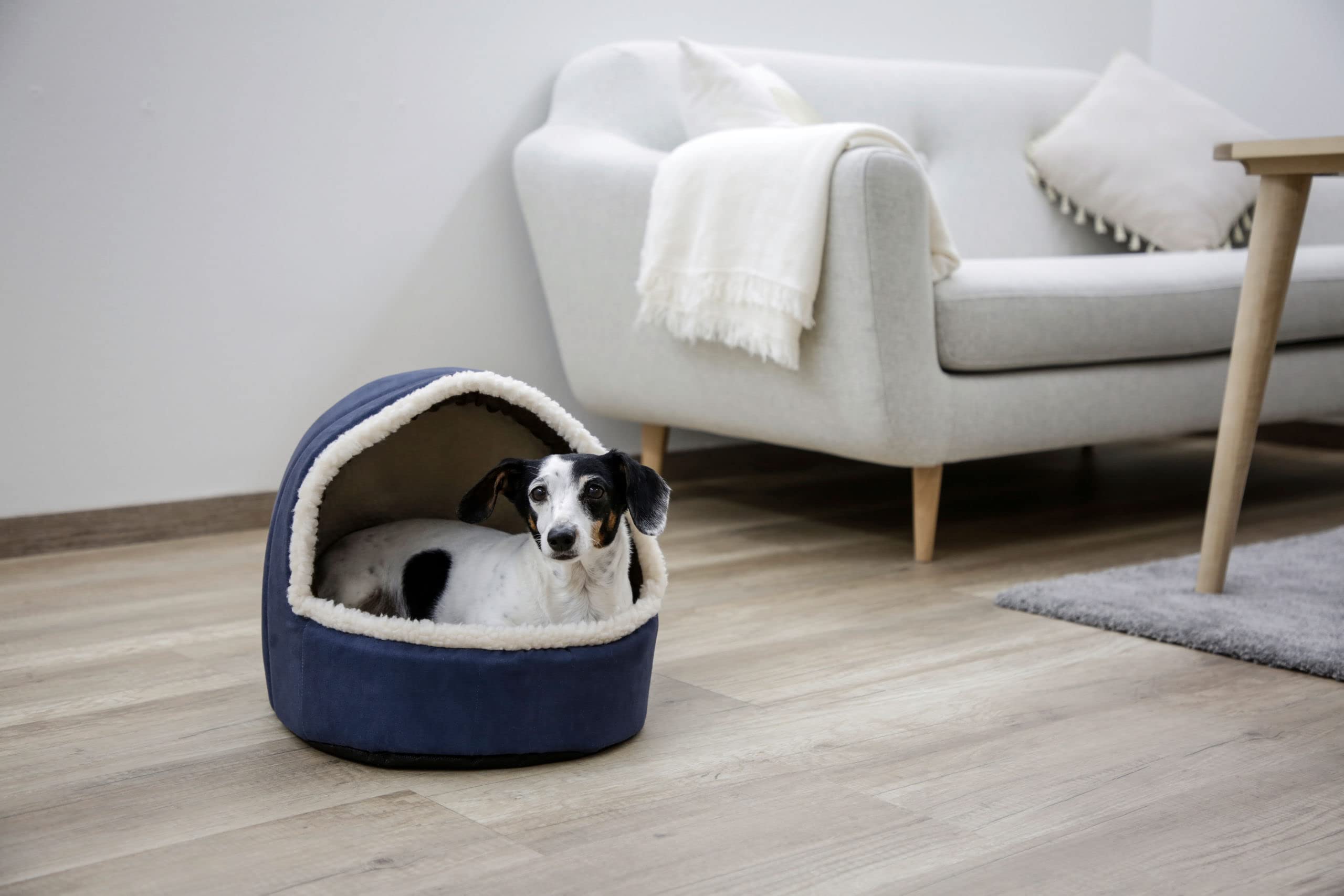 kerbl-pet-igloo-angi-bleu-35x33x32-cm-niche-d-int-rieur-pour-petits-animaux image 4
