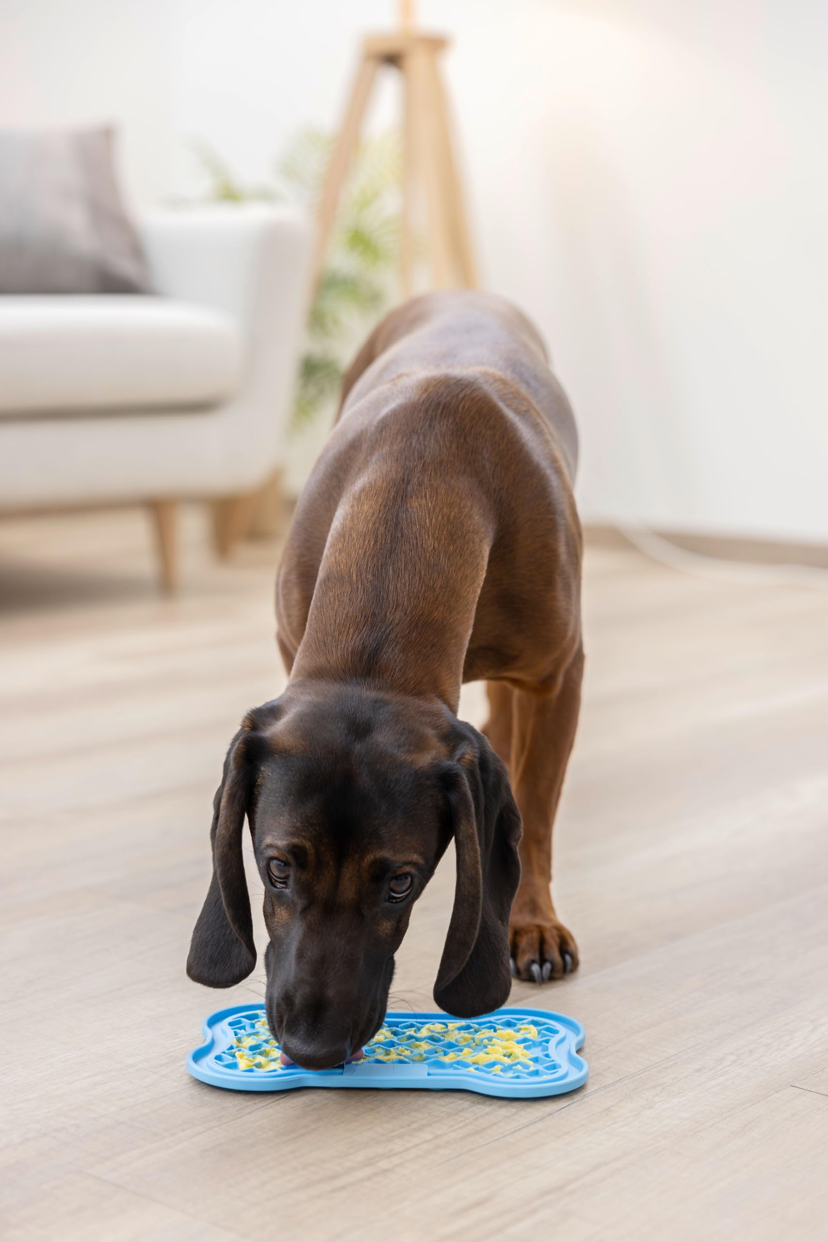 kerbl-pet-tapis-l-cher-pour-chiens-et-chats-22-x-13-cm-silicone-bleu-antid-rapan image 4