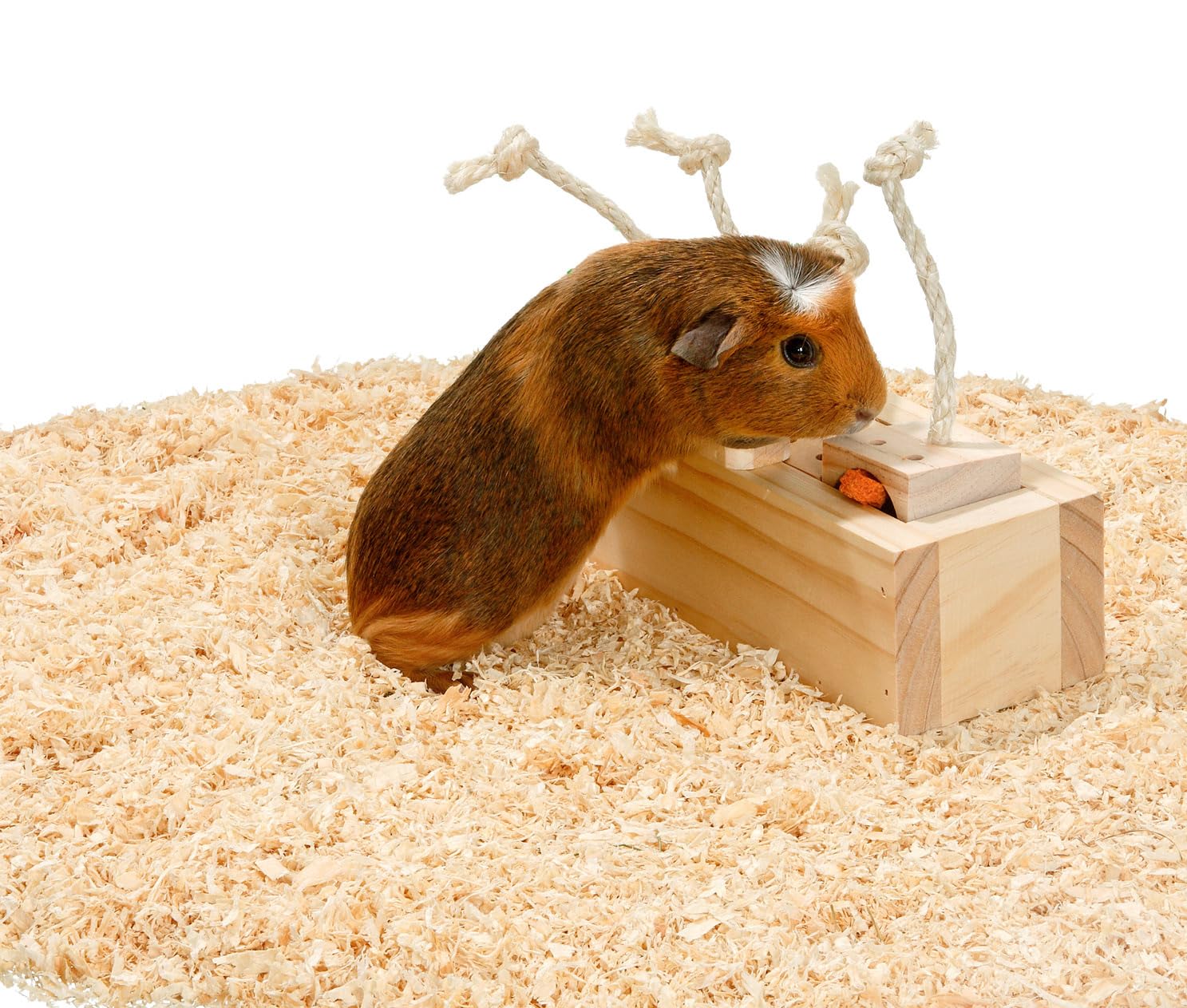 karlie-rody-cube-train-c-r-bral-jouet-d-intelligence-rongeurs-4-blocs-bois-natur image 5