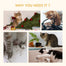 pawhut-arbre-chat-tour-avec-griffoirs-et-chelle image 7