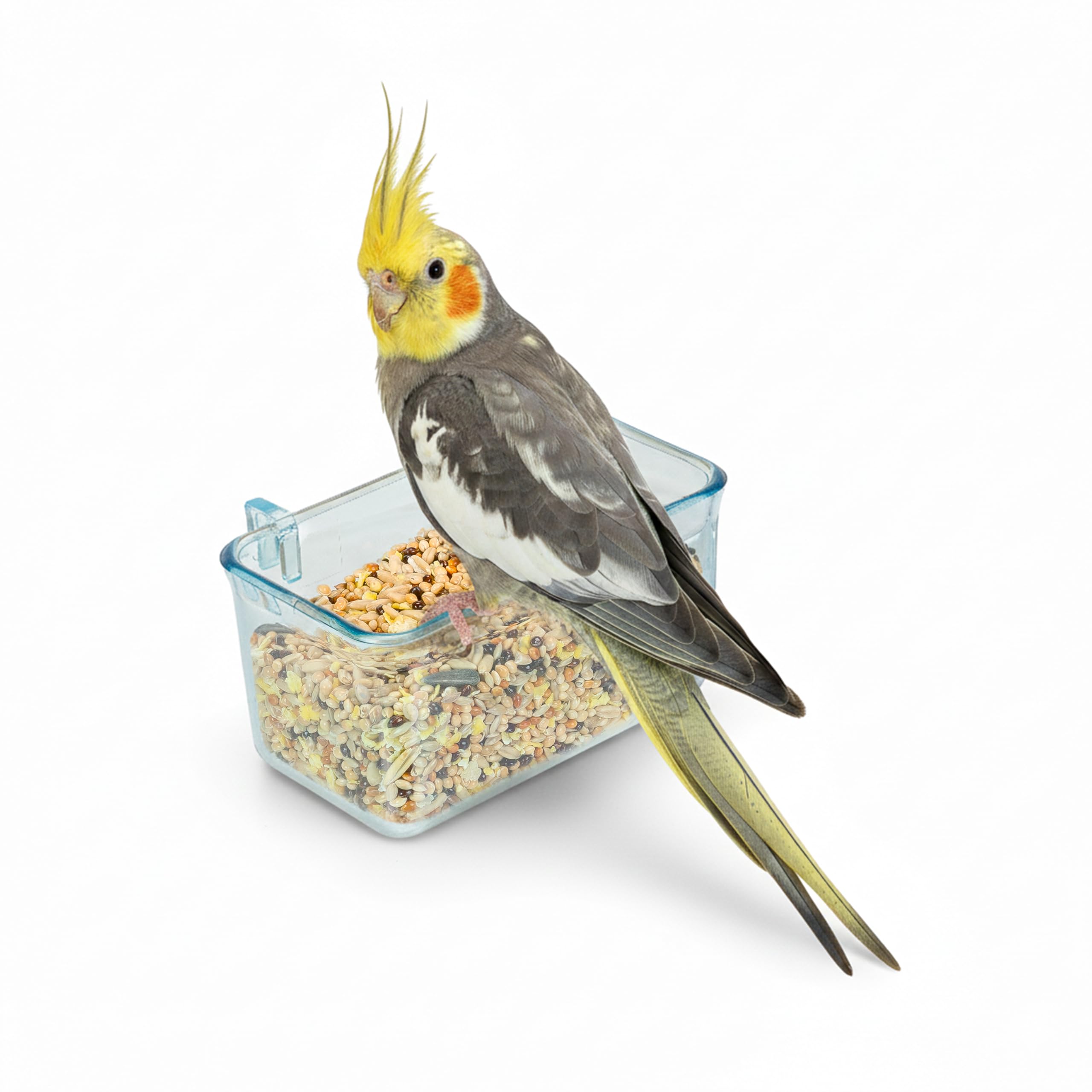 ferplast-mangeoire-automatique-fpi-4510-transparente-pour-cages-oiseaux image 1