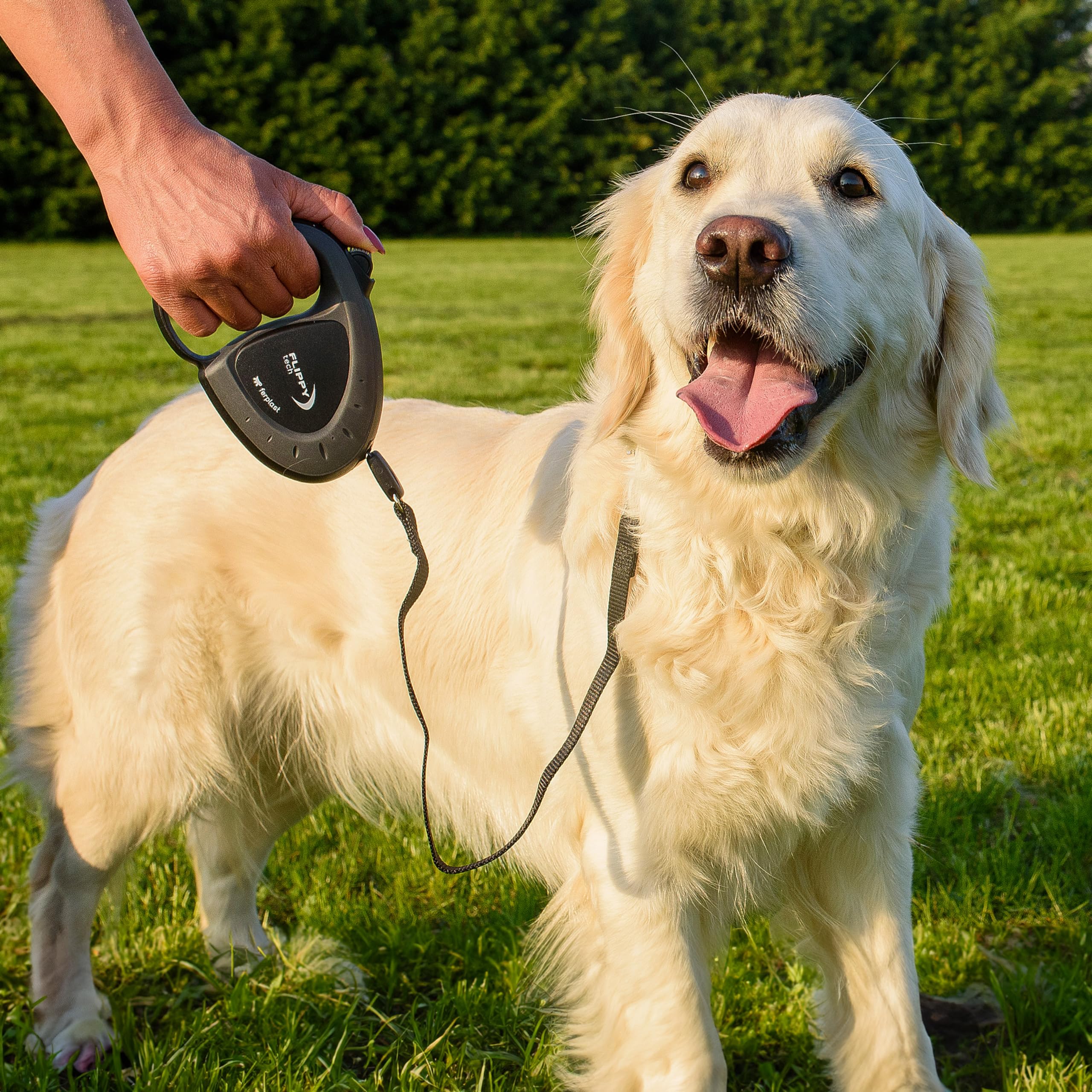 ferplast-flippy-tech-laisse-enrouleur-sangle-3-m-pour-chien-jusqu-25-kg-noir image 4