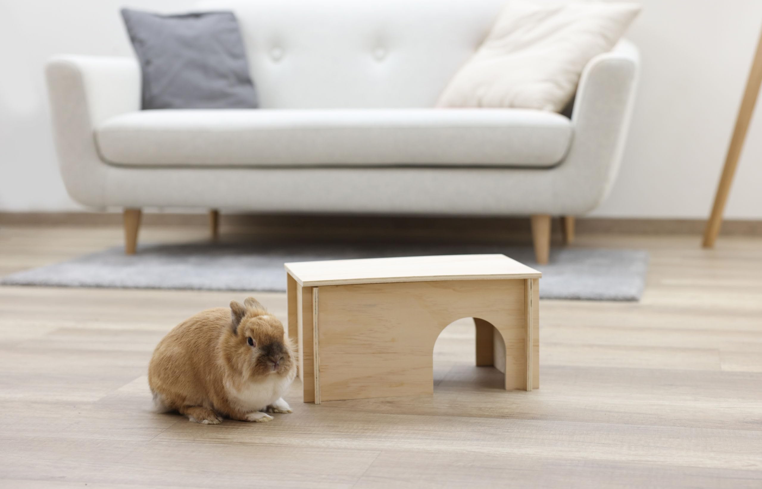 kerbl-maison-pour-rongeur-38-x-23-x-19-cm-avec-toit-amovible image 3