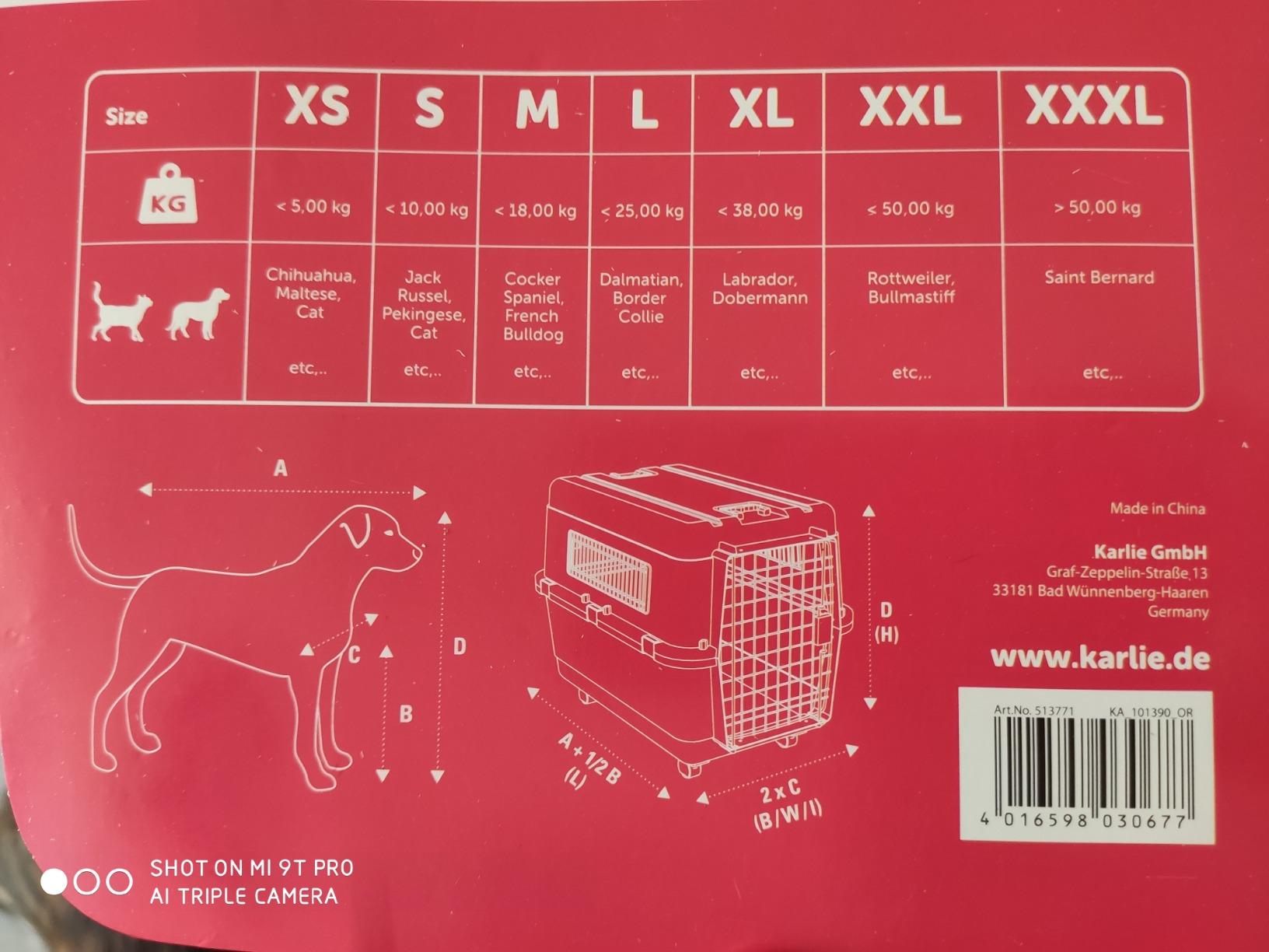 Solide pour chat et chien