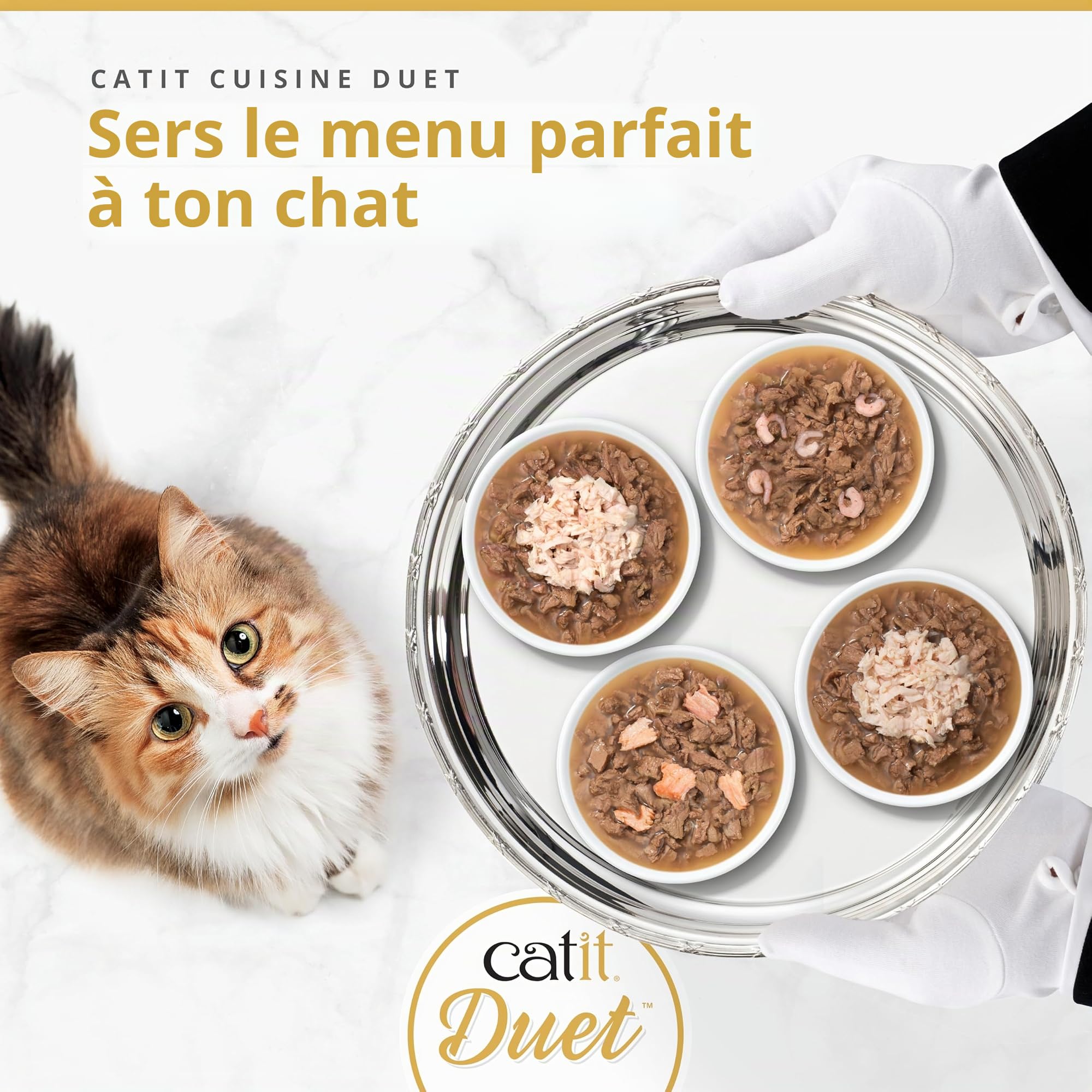 catit-cuisine-duet-poulet-aux-crevettes-en-sauce-75-g-pour-chat image 4