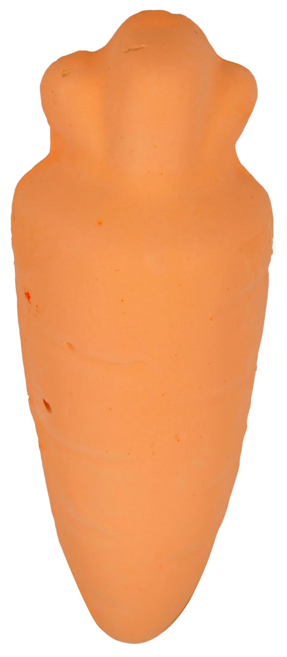 kerbl-pet-pierre-l-cher-carotte-pour-rongeur-35-g image 1