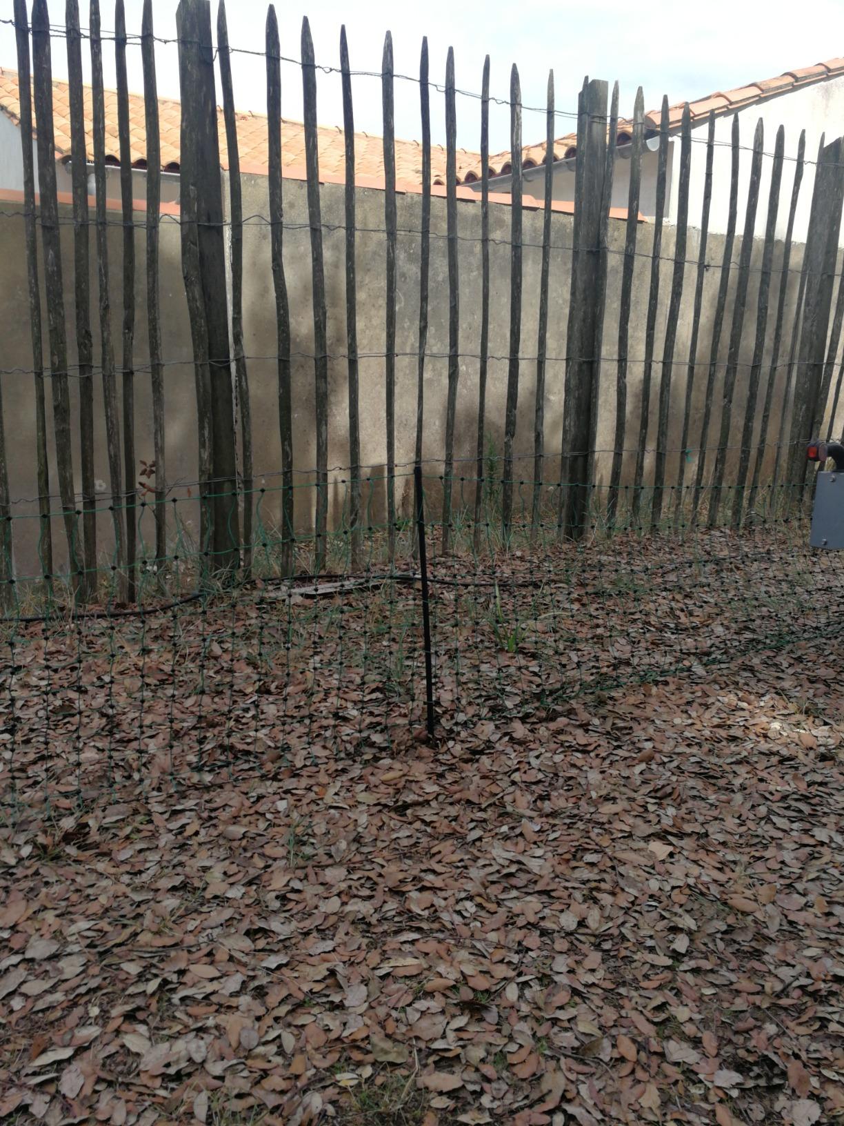 Parfait au jardin