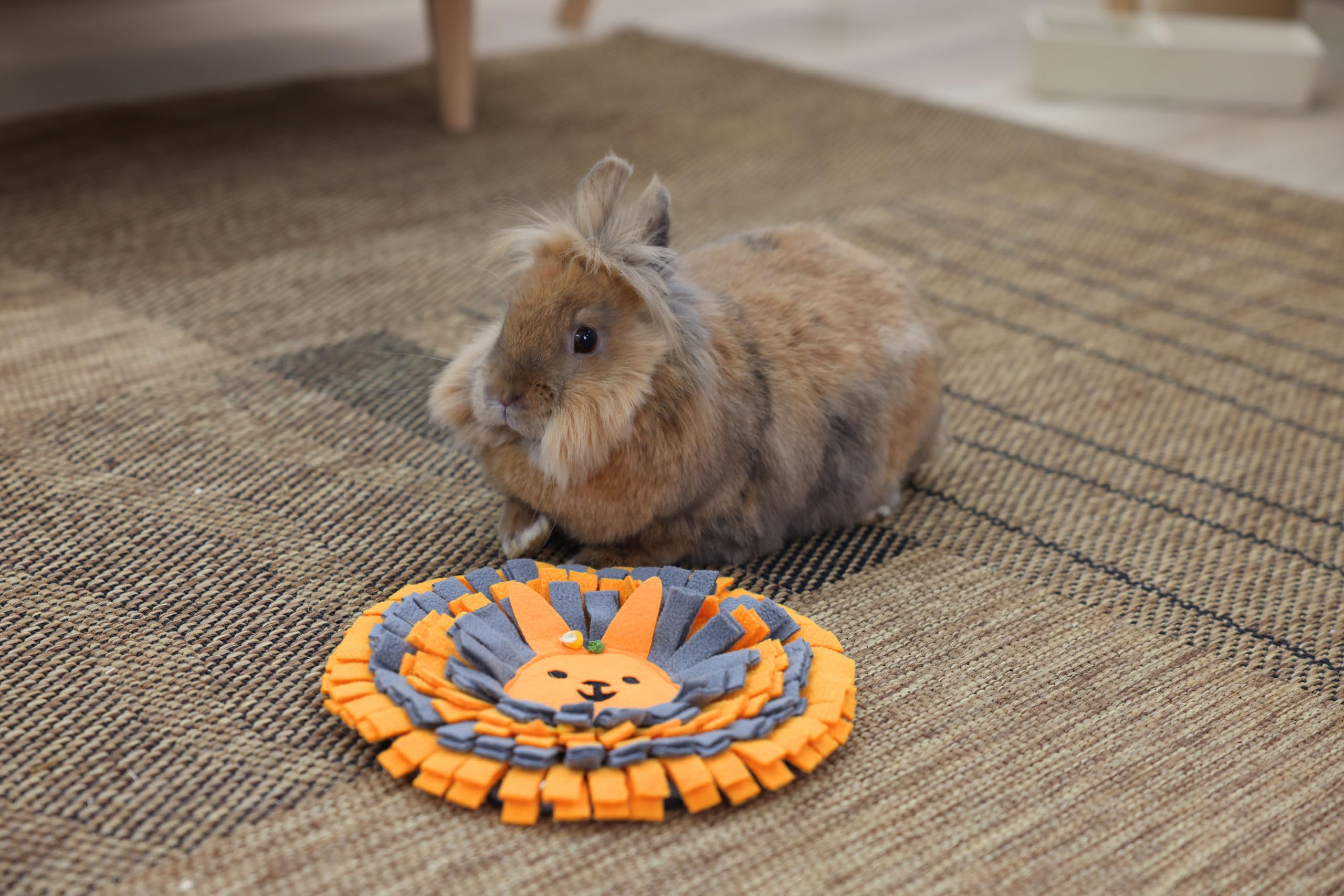 kerbl-pet-tapis-renifler-lapin-25-cm-orange-gris-polyester-pliable image 3