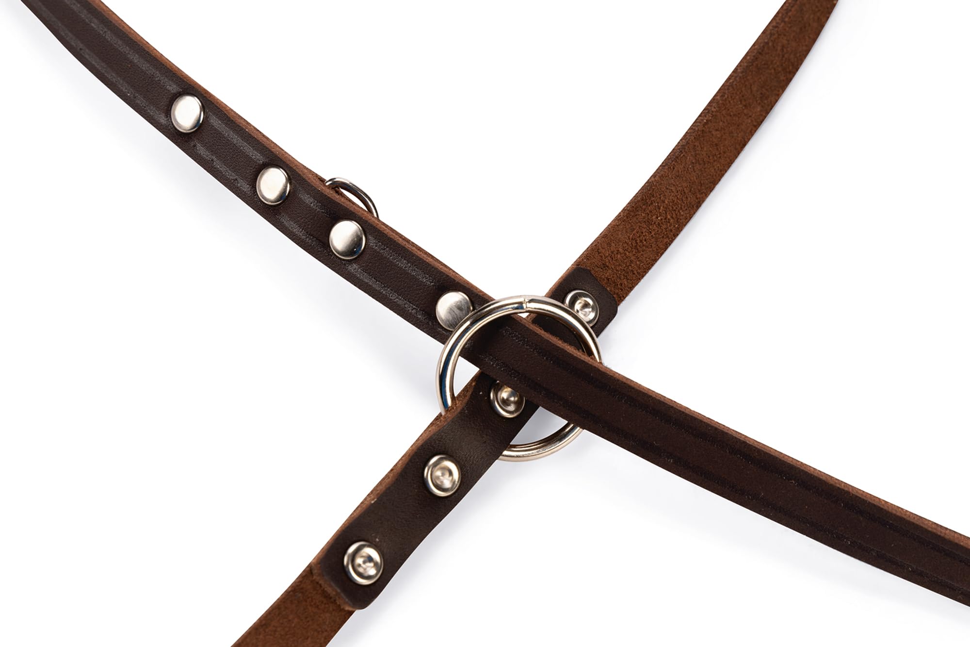 karlie-rondo-laisse-avec-rivets-r-glable-raccords-chrom-s image 3