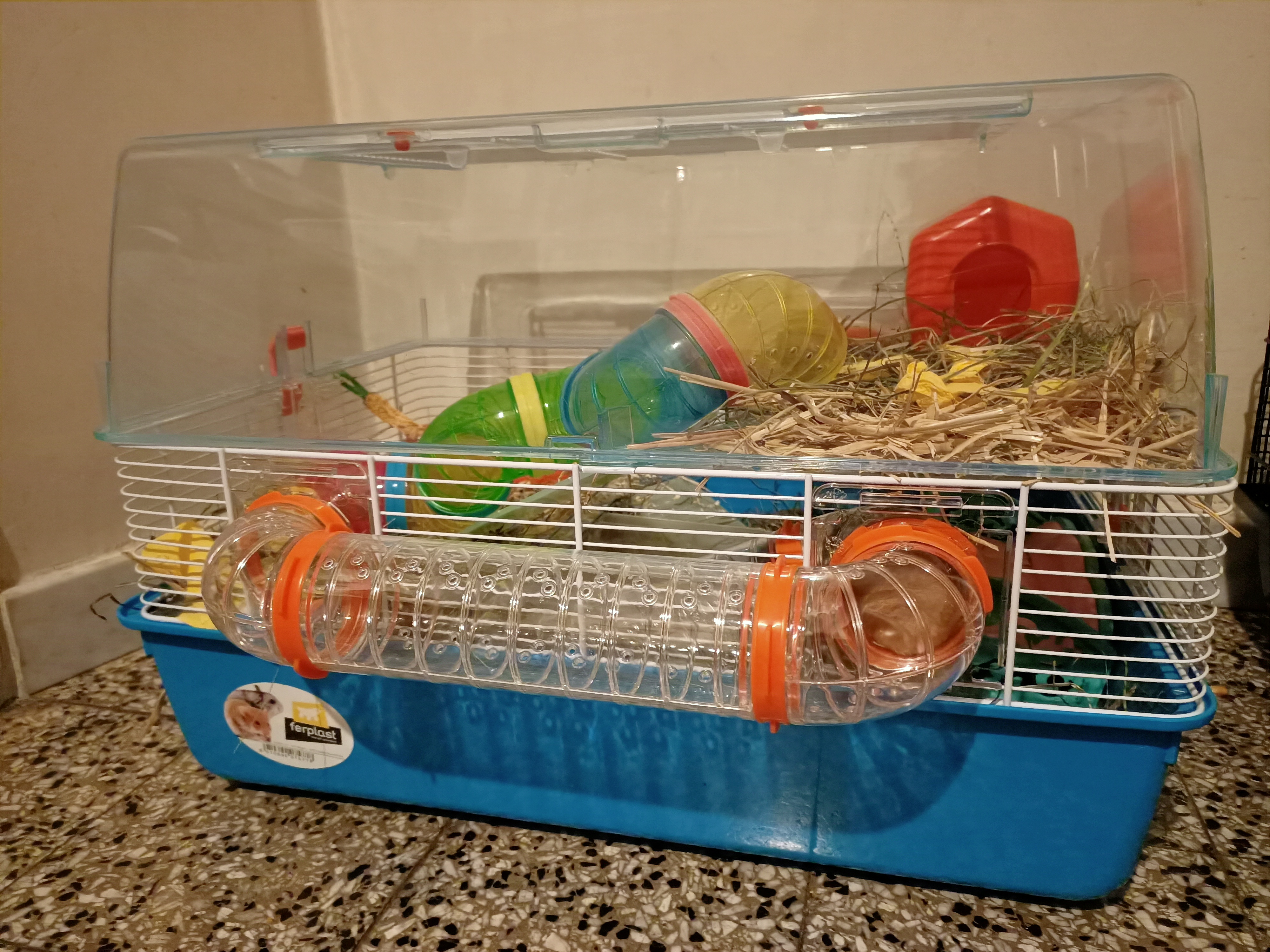 Parfaite pour mon petit-fils