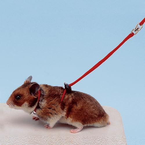 ferplast-n-0000-harnais-nylon-110-cm-pour-hamster-laisse-hamster image 4