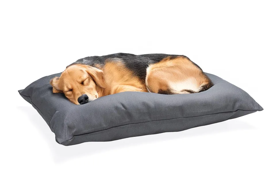 karlie-charly-coussin-pour-chien-gris-fonc-80-x-60-x-15-cm image 1