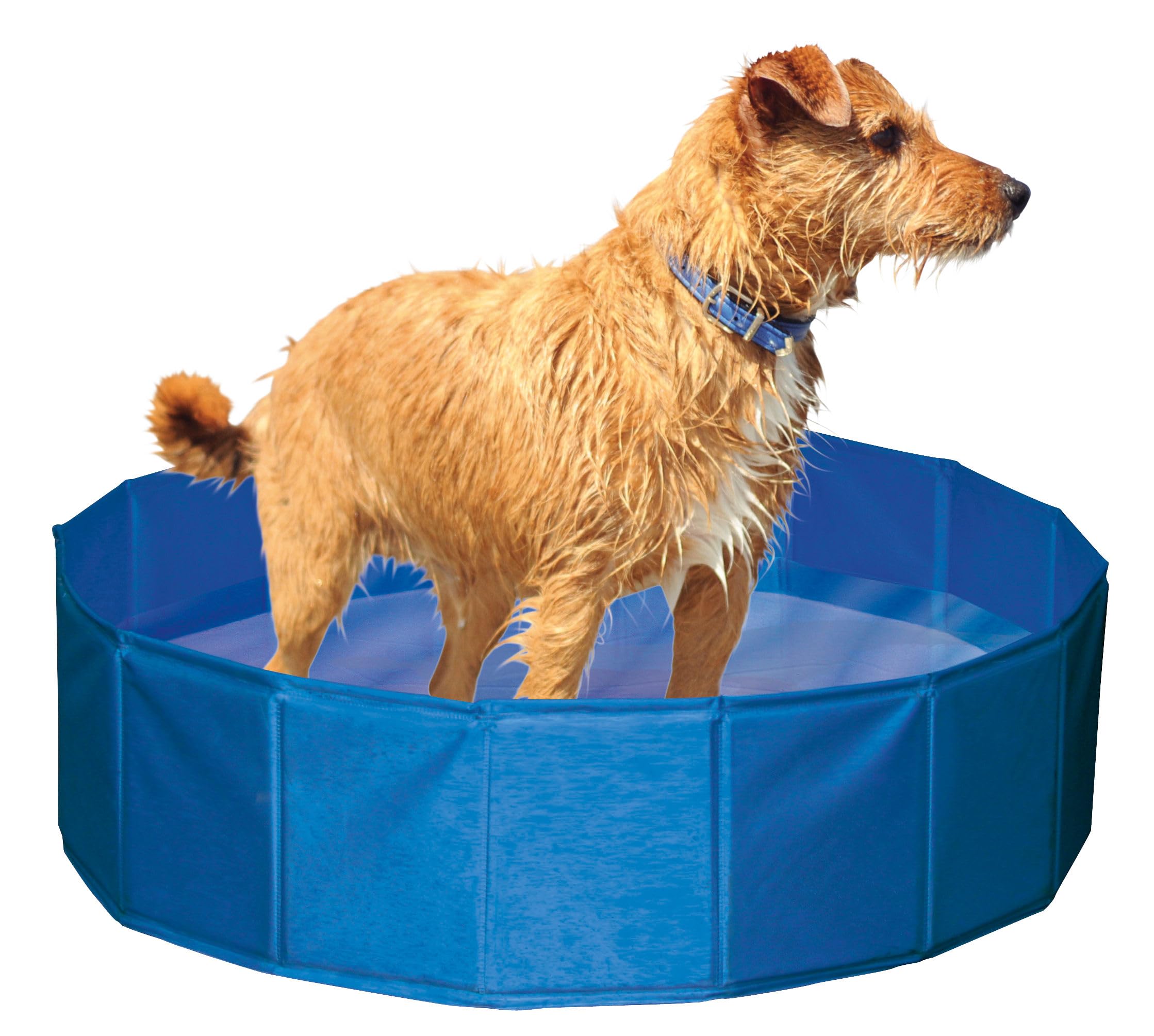 kerbl-82262-piscine-pour-chien-120-cm-hauteur-30-cm-255-l image 3