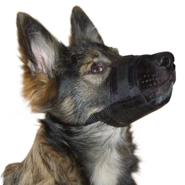 kerbl-museli-re-chien-en-nylon-noir-r-glable-12-14-cm image 1