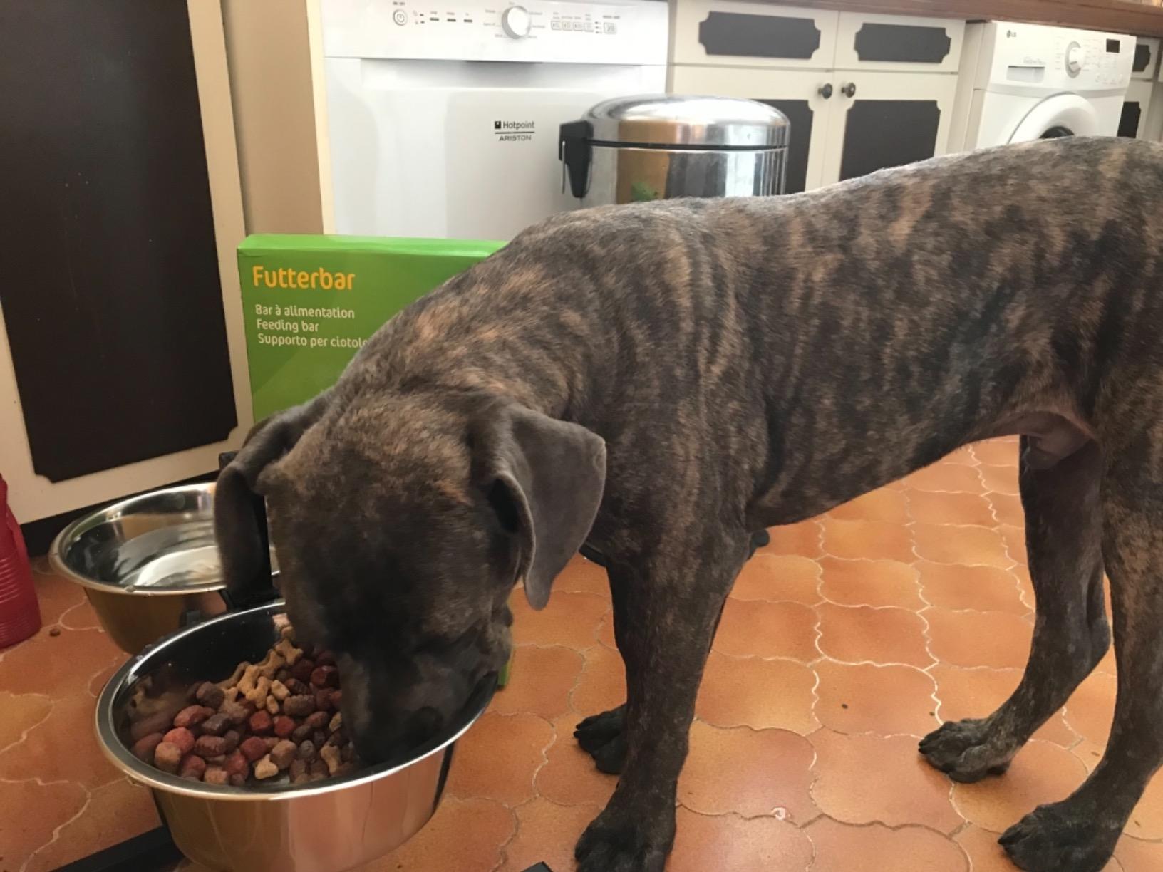 Super pour mon berger