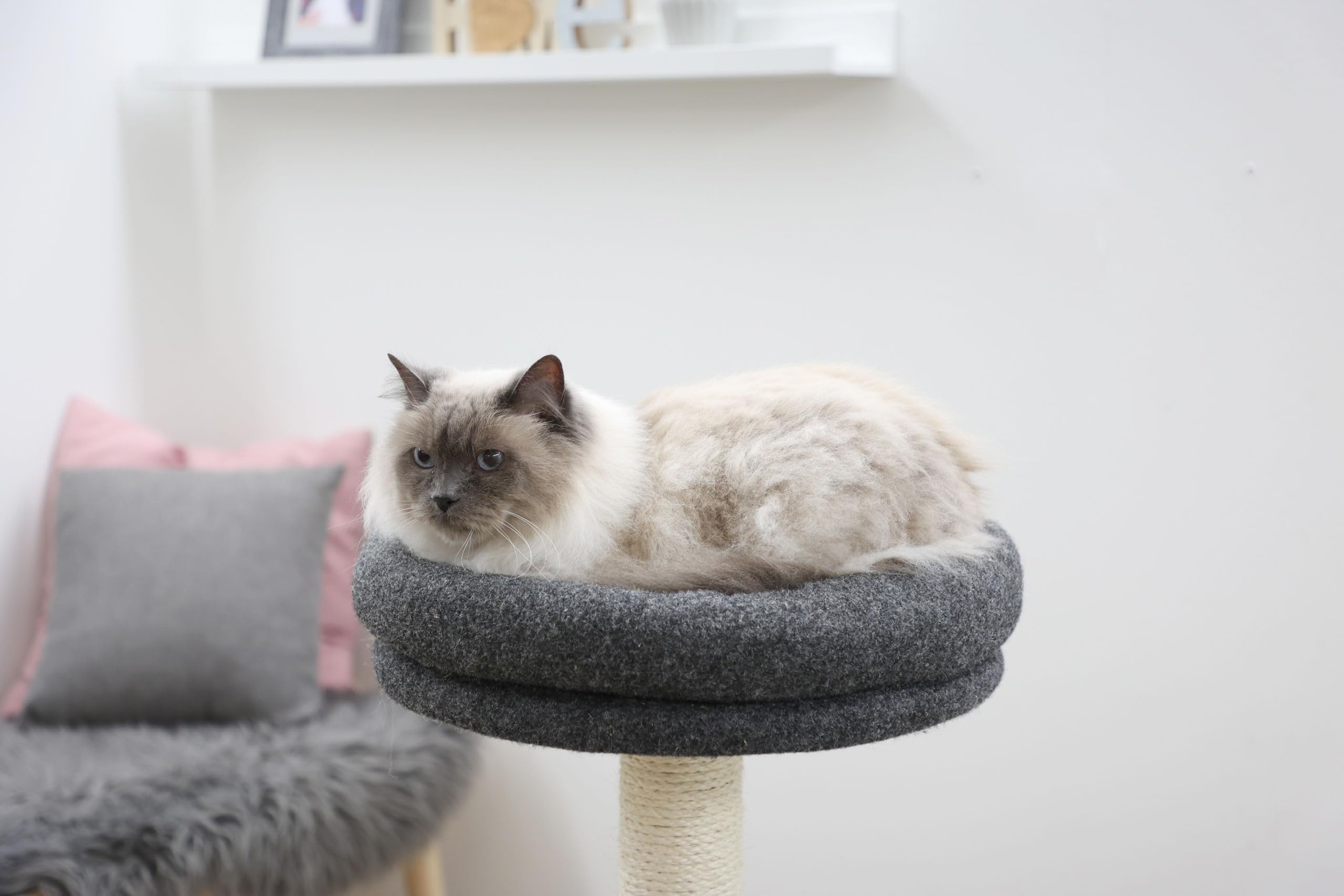 kerbl-pet-arbre-chat-fridolin-gris-106-cm-feutre-et-sisal image 4