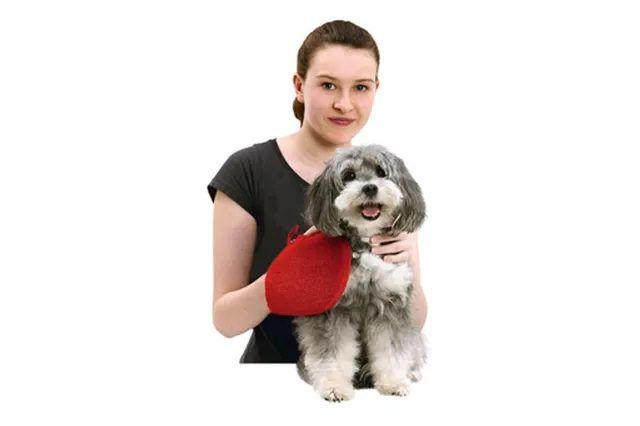 karlie-gant-ramasse-poils-24-x-16-cm-rouge image 1